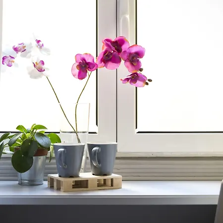 Dulcis In Fundo 罗马