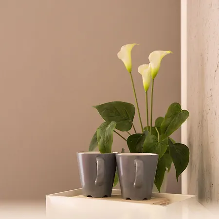 Dulcis In Fundo 住宿加早餐酒店 4*