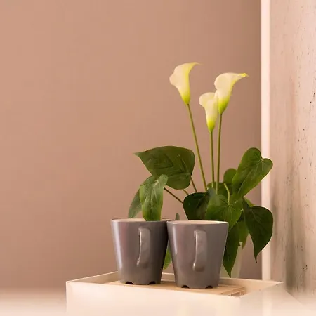 Dulcis In Fundo 4* 罗马