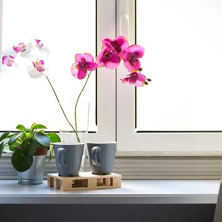 Dulcis In Fundo 罗马