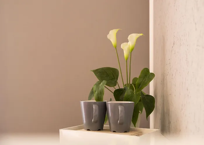 Dulcis In Fundo Couette-café 4*