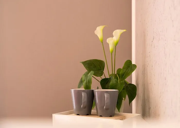 Dulcis In Fundo 4* Rome